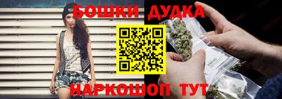 индика Ливны