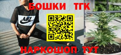 индика Ливны